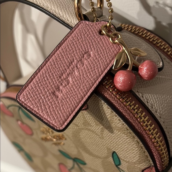 Valentine’s Day !💕Coach Heart-Shaped Cherry Print Mini Bag - Picture 2 of 6